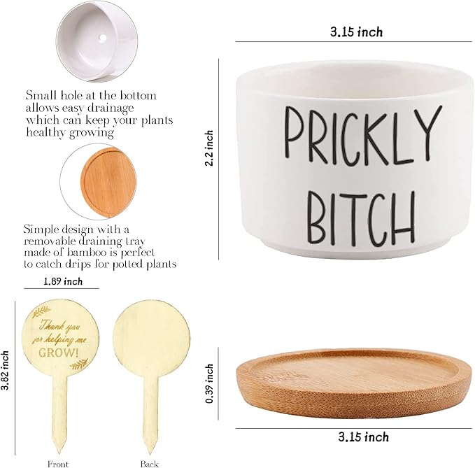 Succulent Pots with Plant Labels, Gifts for Women Birthday Unique Funny, 3.15 inch Ceramic Flower Plant Pots with Drainage Holes and Saucers, Gardening Gifts, Pack of 3 - Plants Not Included