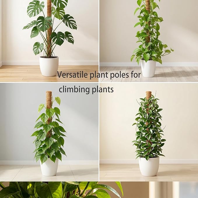 Monstera Plant Support,Bendable Coco Coir Pole for Monstera Plant Supports Indoor Plants, 63 inch Moss Pole Support for Climbing Plants