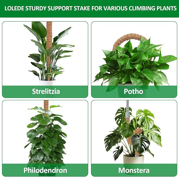 4 Pack Moss Pole, 27.5 Inches Bendable Coco Coir Poles Monstera Plant Support for Climbing Indoor Plants, DIY Plant Stakes Kit Support for Pothos, Philodendron,Potted Plants