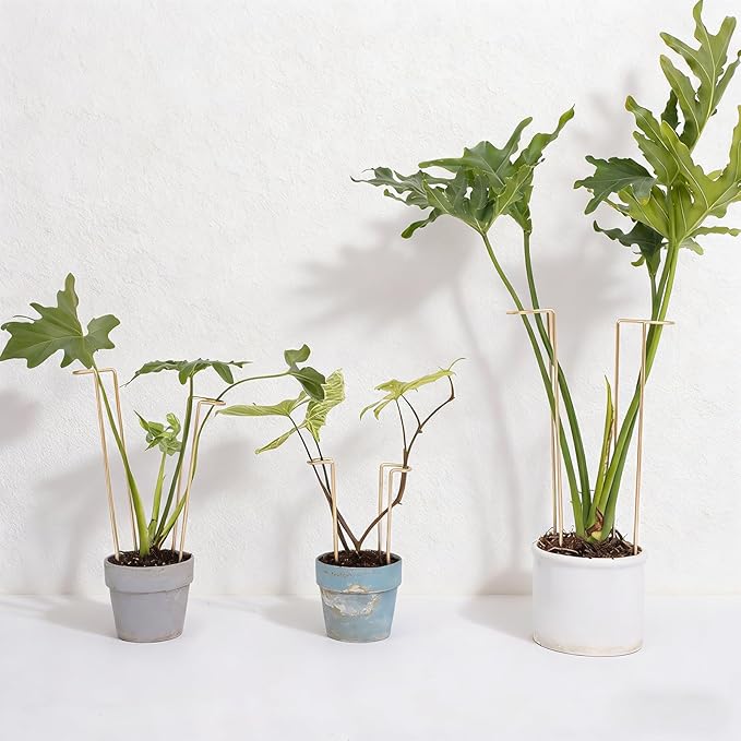 12-Inch Monstera Support - 10 Pack Medium Plant Support for Indoor and Outdoor Plants, Durable Stem Holder Trellis for Monstera and Spring Plant Stakes, Ideal for Home, Balcony, and Terrace