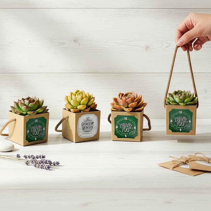 Covzoe 100 Pack 2.5 Inch Succulent Wraps, Fits 2.5" Pots, Succulent Bags Party Favors with Thank You and Grow Love Grow Joy Stickers, Succulent Gift Box for Wedding Birthday Guests