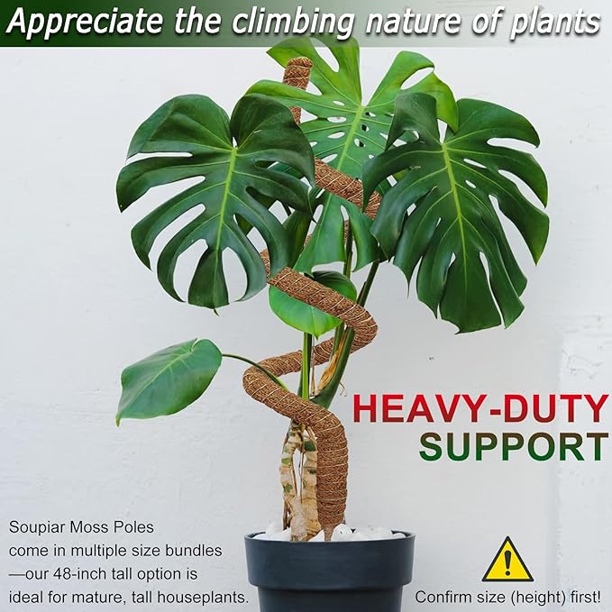 2 Pack 48'' Bendable Moss Pole for Monstera & Pothos - Tall Handmade Coco Coir Plant Support Stakes for Large Climbing Indoor Plants, Potted Houseplant Trellis Accessories