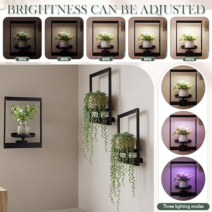3 Pack Wall Plant Holders with Remote Grow Lights, Indoor Plants Holders, Plants Shelves Hanging Planters, Wall Mounted Framed Plant Holder for Indoor Living Room Decor