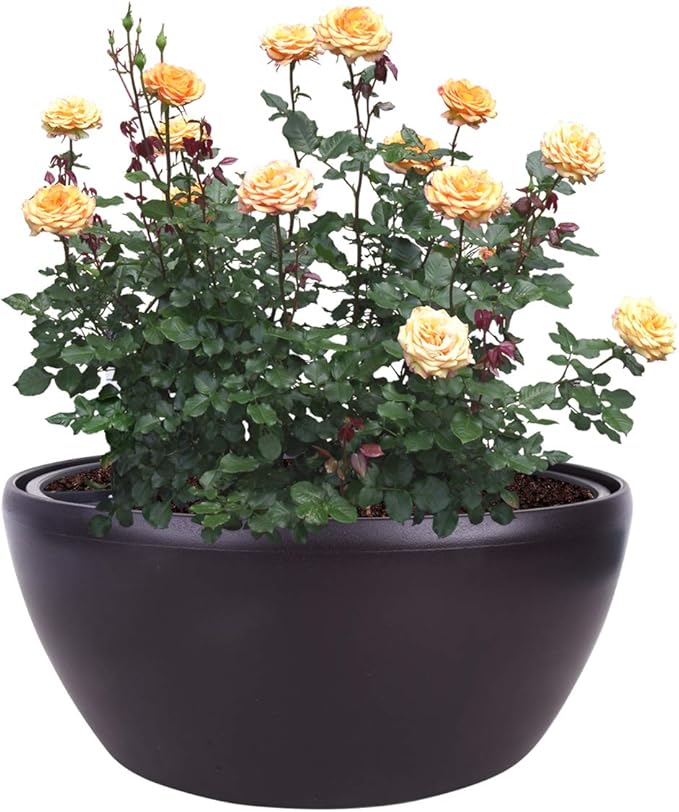 Vencer 11 Inch Plastic Round Self Watering Planter,Water Indicator,Modern Decorative Planter Pot for All House Plants Flowers, Herbs, Vegetables, Tropical,Coffee,VF-048BL