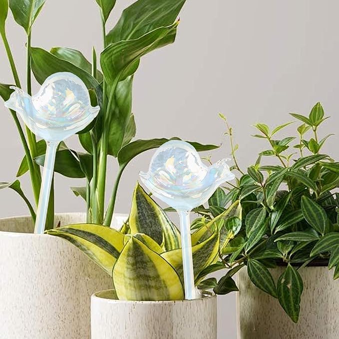 Self Watering Globes, High Borosilicate Glass Snail Design, Large Capacity Automatic Plant Waterer for Indoor Outdoor Plants, Fits Potted Herbs Succulents Office Flora (2pcs)