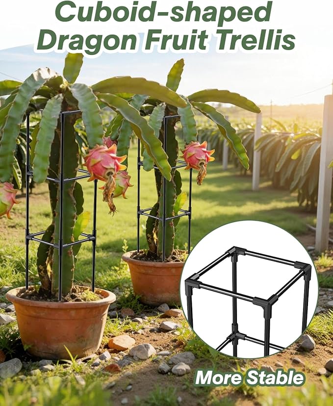 Dragon Fruit Trellis for Climbing Plants Indoor Outdoor, Heavy Duty Metal Adjustable Vertical Garden Support for Indoor Outdoor Potted Plants, Tomato, Cactus, Roses,Vines(10 * 10 * 47inch,1PC)