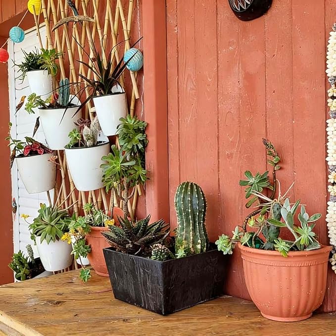 3 Pack Self Watering Wall Hanging Planter Pots Vertical Garden Window Hang Mount Indoor Outdoor Plant Flower Basket for Kitchen Herbs Balcony Railing Shelf Fence Bedroom Trellis Decor Modern White Box