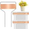 Foraineam 40 Pack 4 Inch Plant Label Stakes, Weatherproof Copper Plant Markers Seedling Signs, Reusable Metal Nameplate Garden Nursery Stake Tags for Herbs Flowers Vegetables Potted Plants