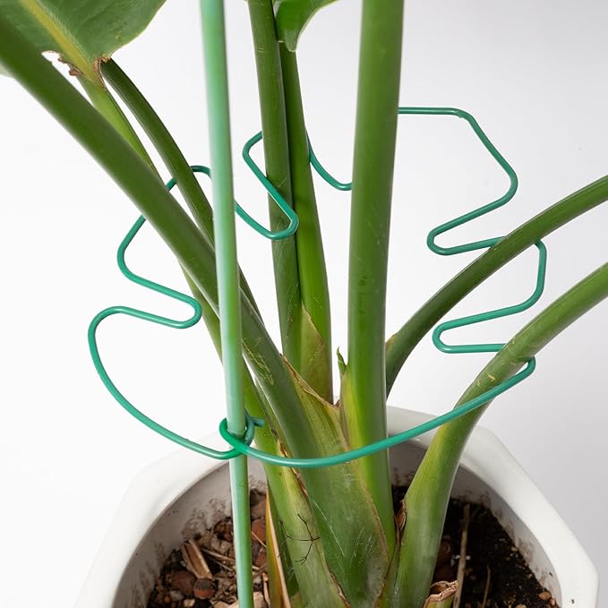 Yohsnor 5PCS Monstera Plant Stem Support 7.3*6.25IN Adjustable Holder for Indoor Plants, Durable Metal Structure with Gentle Clips, Perfect for Fishbone Cactus & Climbing Plants, Ideal Gardening Gift