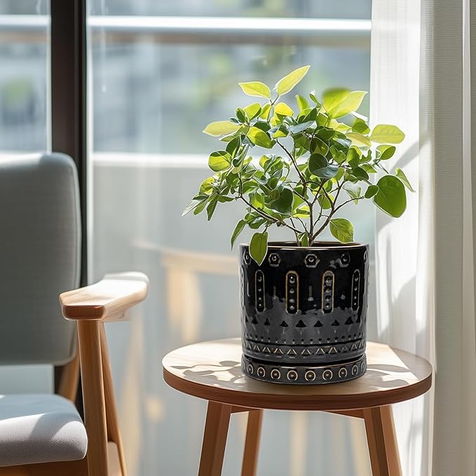 Eightpot Ceramic Pot for Plants - 8 Inch Plant Pots Indoor with Drainage Hole and Saucer, Decorative Round Planter Outdoor, Boho Ceramic Planter for Flower, House Garden Decor, Gardening Gifts, Black