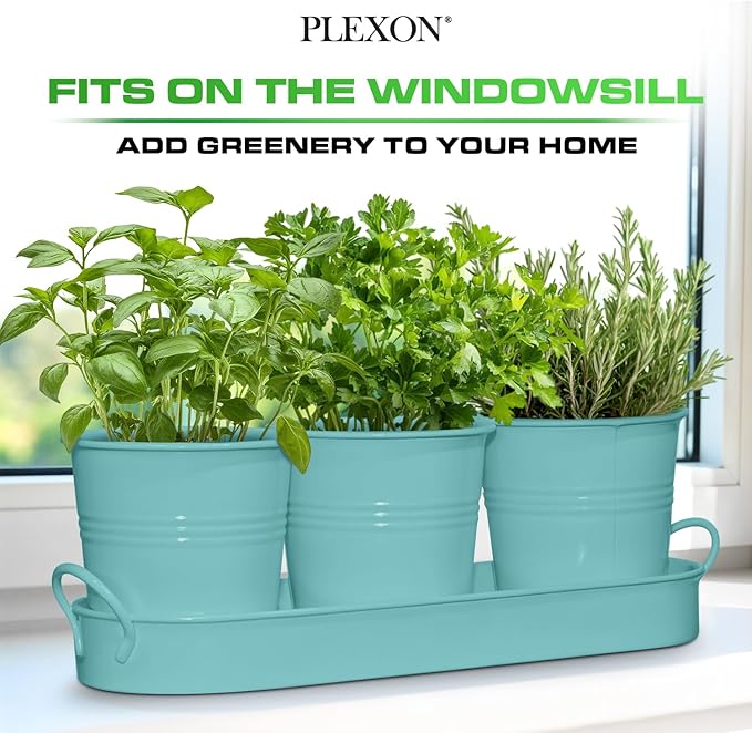 Plexon Herb Planter Indoor Garden Set of 3 with Tray, Metal Herb Pots for Indoor Plants, Round Kitchen Garden Kit Ideal for Windowsill Planter or Countertop, Aqua Mist Blue Powder Coated