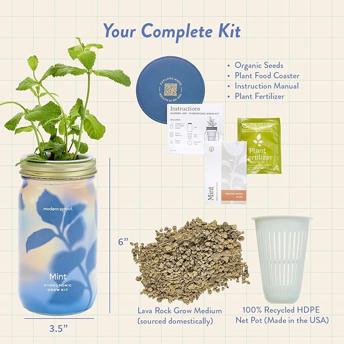 Modern Sprout Mason Garden Jar - Self-Watering Hydroponics Growing System Kit with Organic Herb Seeds - Jar Planter for Indoor Herb Garden - Seed Starter Kit - Home Decor & Gifting - Mint