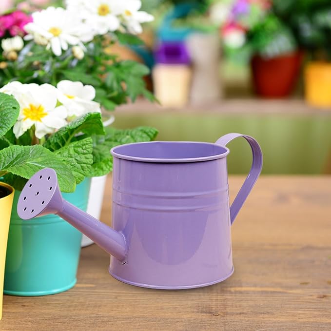 1.6L Watering Can for Indoor Outdoor Plants, Modern Small Watering Cans, Metal Flower Watering Can, Long Spout Watering Can-Colorful Plant Waterer for Indoor Bonsai Plants Garden Flowers (Purple)