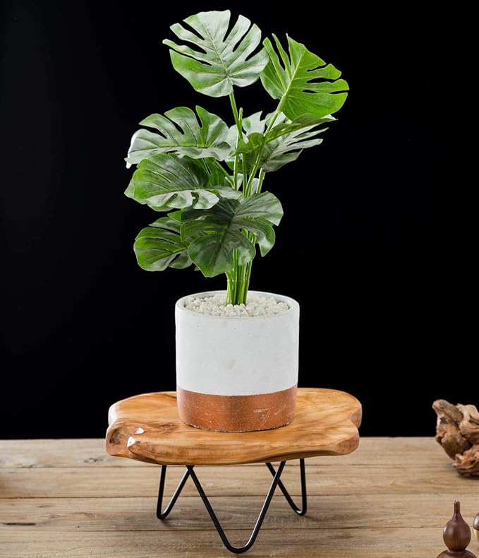 TJ Global Natural Edge Wooden Stand with Hairpin Legs for Displaying Cakes, Plants, Candles, Decor (L10 x W9 x H5)