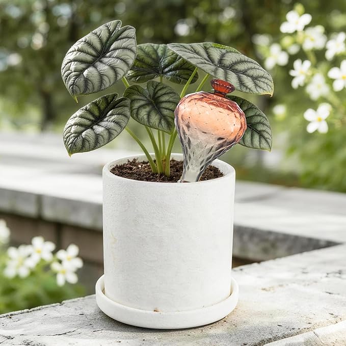 12 oz Plant Watering Globes, Red Glass Self Watering Bulbs Top Fill with Terracotta Spikes Stake, Self Watering Planter Insert Vacation Automatic Plant Waterer Device for Indoor & Outdoor