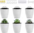 4 Inch Self Watering Hanging Planters, Wall Mounted Plant Pots with Complete Accessories, Automatic Watering Flower Pots for Indoor Outdoor Garden, Succulents, Herbs, Home Décor, Set of 6