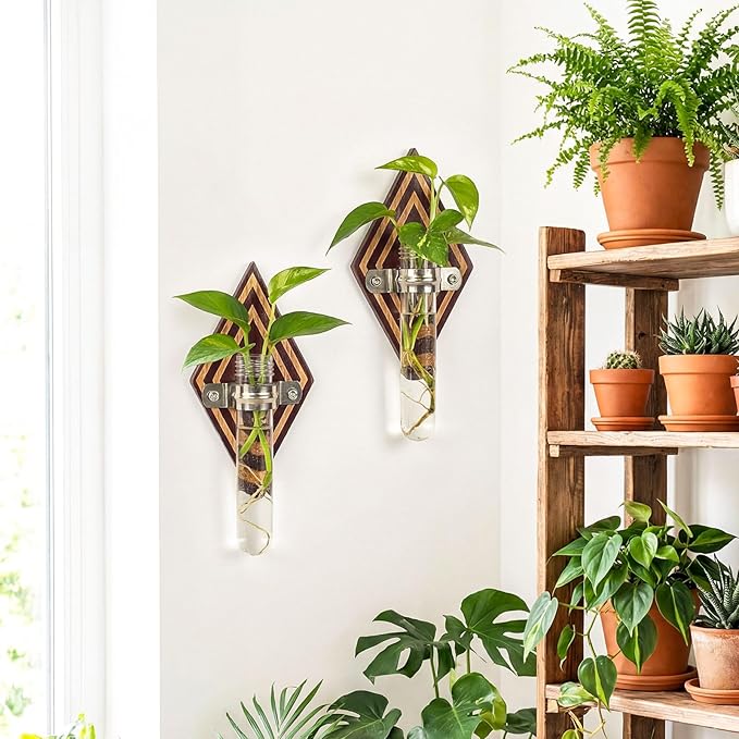 2 Pack Hanging Propagation Stations, Wooden Wall Plant Holder with Terrarium for Hydroponic Cuttings, Decorative Wall Planter for Home Office Decor