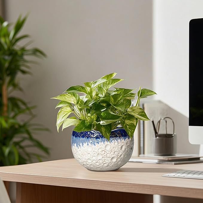 Ceramic Plant Pots - 6 Inch Orchid Pot for Indoor Outdoor Plants, Unique Pots for Plants with Drainage Hole and Plug, Modern Round Planter, Garden House Decor, Housewarming Gifts, Beige-blue
