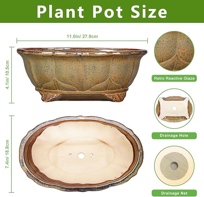 Ceramic Bonsai Pots - 11 Inch Succulent Planters for Indoor Outdoor Plants, Bonsai Tree Pots with Drainage Hole, Shallow Succulent Plant Pot, Room Decor, Plant Lover Gift, Oval Yellowish Brown