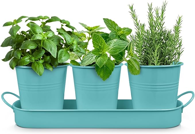 Plexon Herb Planter Indoor Garden Set of 3 with Tray, Metal Herb Pots for Indoor Plants, Round Kitchen Garden Kit Ideal for Windowsill Planter or Countertop, Aqua Mist Blue Powder Coated