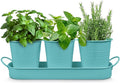 Plexon Herb Planter Indoor Garden Set of 3 with Tray, Metal Herb Pots for Indoor Plants, Round Kitchen Garden Kit Ideal for Windowsill Planter or Countertop, Aqua Mist Blue Powder Coated