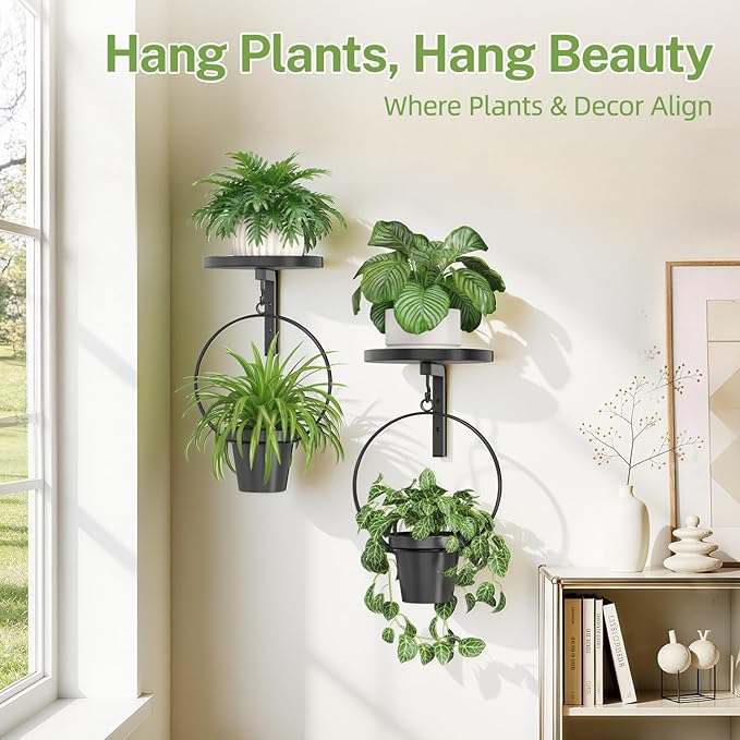iDavosic.ly Wall Plant Holder Set of 2 for Outdoor with 2 Hanging Planters, Metal Hanger with 2 Hooks, Floating Flower Display Stand for Window, Space Saving & Easy to Assemble