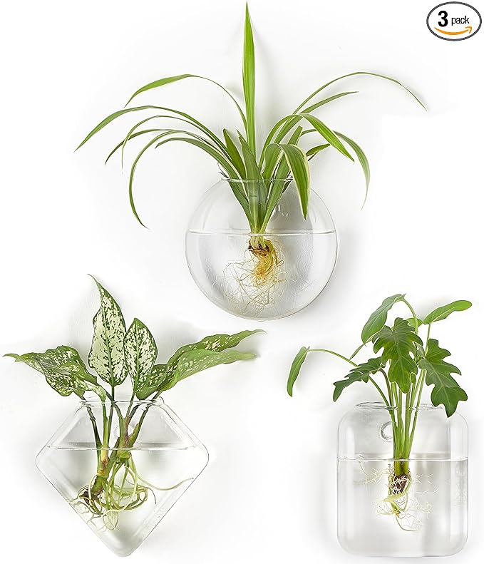 Mkono Wall Planter Propagation Stations Hanging Glass Terrariums Vase Container for Propagating Hydroponic Plants Flowers Home Office Living Room Bathroom Garden Decor, 3 Pack(Plants not Included)