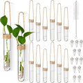 Baderke 12 Pack Wall Hanging Propagation Station Plastic Test Tubes Planters Wall Terrarium for Home Office Plant Hanger Flower Vases Hydroponic Cuttings Office Garden Flowers Walls Decor Lover Gift