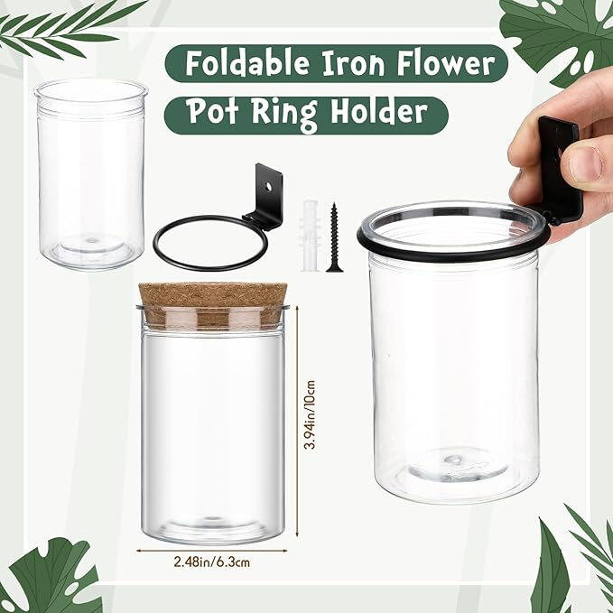 Baderke 6 Set Wall Plant Holder with Plastic Propagation Vases Hanging Planter Wall Mounted Set for Plants Growing in Water Hydroponic Artificial Plants Indoor Decor (2.48" X 3.94",Classic)
