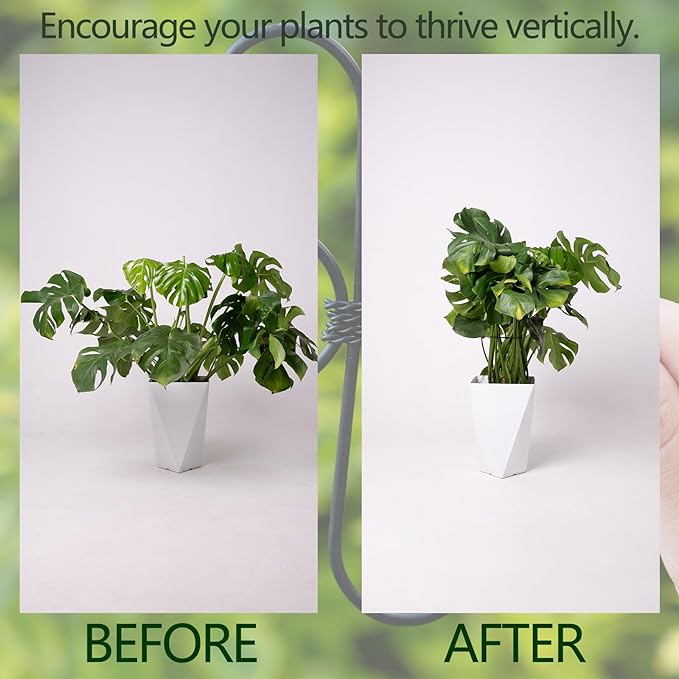 Yohsnor Black Monstera Plant Support 5.5IN 5PCS Premium Stem Support System for Indoor Plants, Durable Stabilizer for Monstera and Climbing Plants, Easy Installation Leaf Holder, Fishbone Cactus Stake