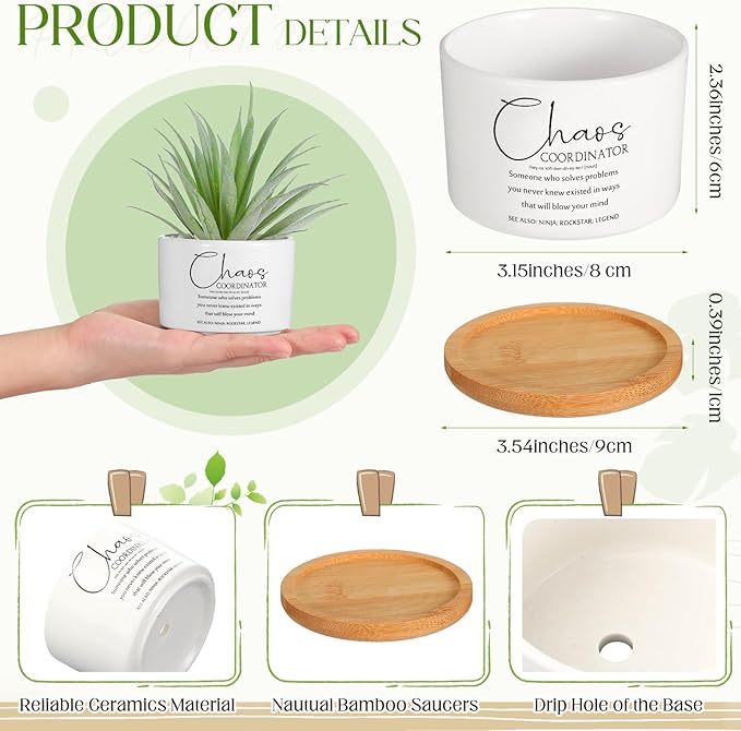 12 Pcs Chaos Coordinator Gifts Succulent Pots Employee Appreciation Gifts Bulk for Women Coworker Teacher Small Ceramic Plant Pots with Bamboo Trays for Office Staff Nurse