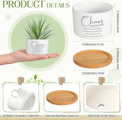 12 Pcs Chaos Coordinator Gifts Succulent Pots Employee Appreciation Gifts Bulk for Women Coworker Teacher Small Ceramic Plant Pots with Bamboo Trays for Office Staff Nurse