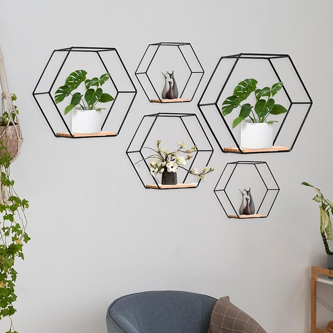 5 Pieces Hexagon Iron Wall Shelves Storage Rack Living Room Geometric Kitchen Bedroom Organizer for Mini Planter Displaying, Black