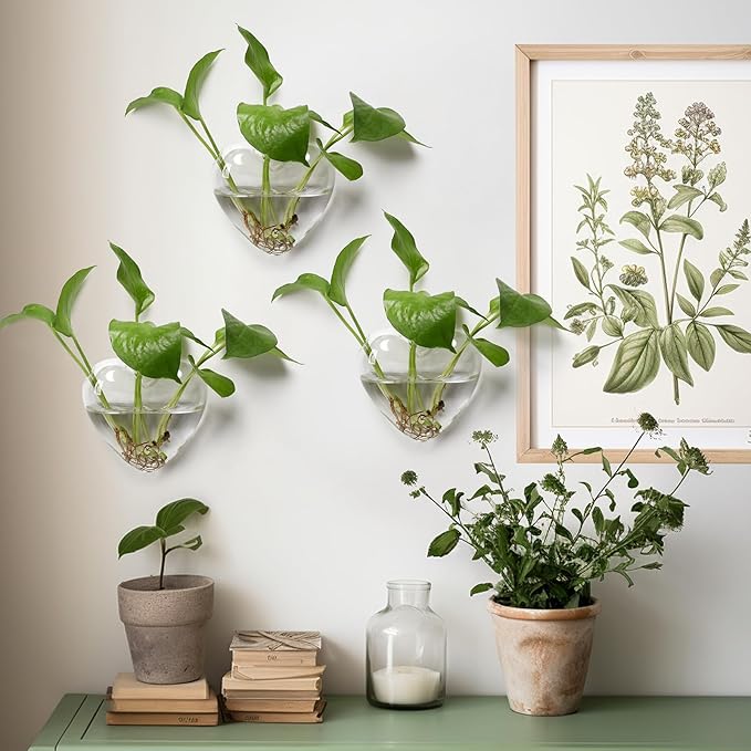 Wall Hanging Planter Propagation Station for Indoor Plants Glass Vase Air Plant Holder Gift for Women Girlfriend Plant Lover
