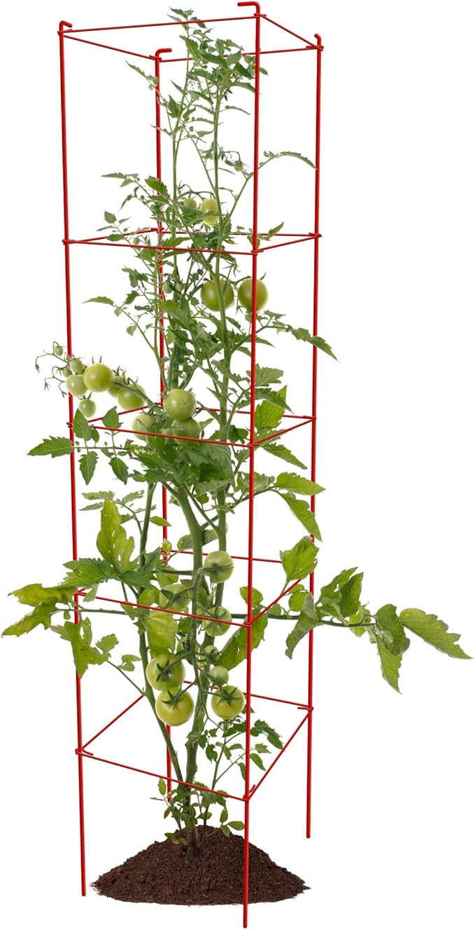 Thealyn Tomato Cages 6 Packs 57 Inches (H) Plant Stand with 164 Feet Twist Ties, Heavy Duty Garden Plants Support for Tomatoes, Cucumber, and Other Climbing Plants (Red)
