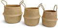 Seagrass Plant Basket Set of 3 with Handles – Handwoven Woven Basket Planter, Indoor Plant Basket & Plant Holder Basket, Natural Fiber Wicker Plant Pot Basket for Boho Farmhouse Home Decor