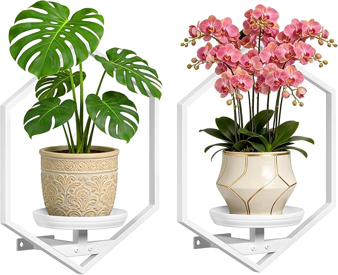 BXF Hexagon Floating Frame Plant Stand - 2 Pack Metal Wall Mounted Planters - Minimalist Geometric Hanging Decor for Indoor Succulents & Air Plants,White