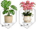 BXF Hexagon Floating Frame Plant Stand - 2 Pack Metal Wall Mounted Planters - Minimalist Geometric Hanging Decor for Indoor Succulents & Air Plants,White