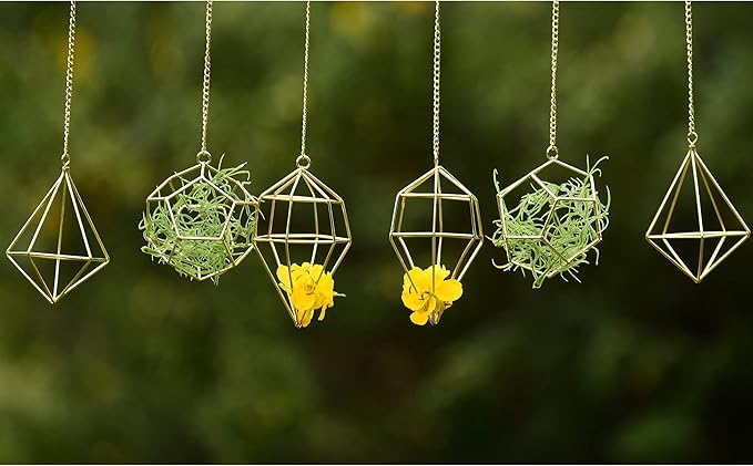 Gold Hanging Air Plants Holders Small Tillandsia Airplants Hangers 6 Pack Geometric Wire Himmeli Air Fern Display Planter with Chains Airferns Metal Hanging Holders