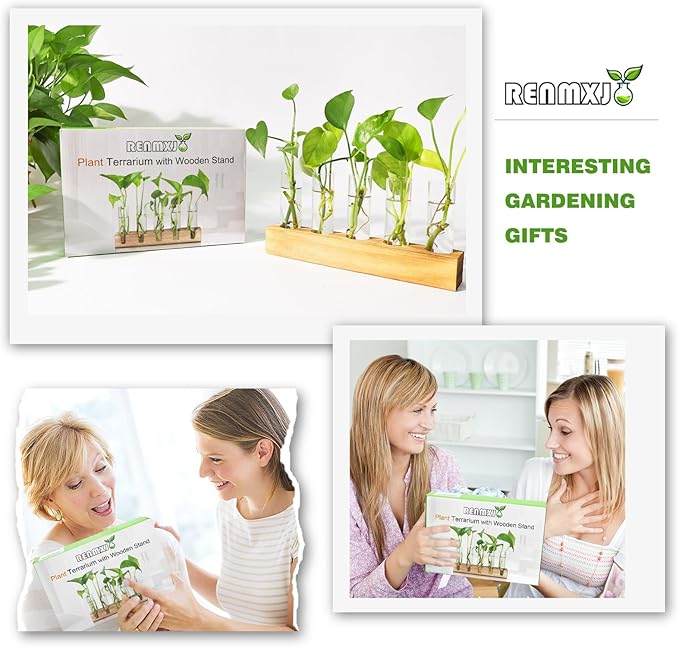 Renmxj Plant Propagation Station, Plant Terrarium with Wooden Stand, Plants Pots for Hydroponics, Small Birthday Gardening Gifts for Women Mom Plants Lovers Unique - 5 Glass Test Tubes Vases