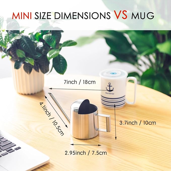 IMEEA Tiny Watering Can for Indoor Plants Bonsai Tree Stainless Steel Small Watering Can Succulents, 11oz/300ml