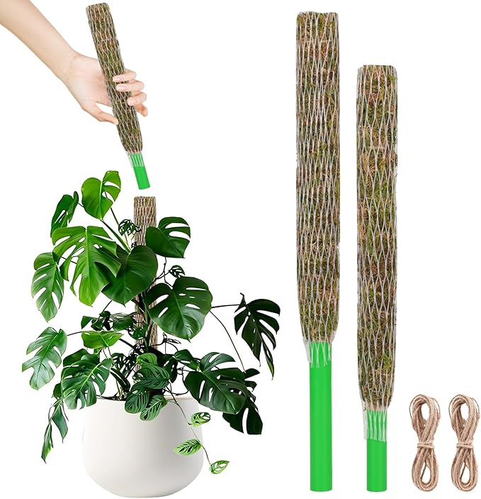 Moss Pole for Plants 2 Pcs 13+16 Inch Modern Mesh Design Green Moss and Plastic Plant Support Extension