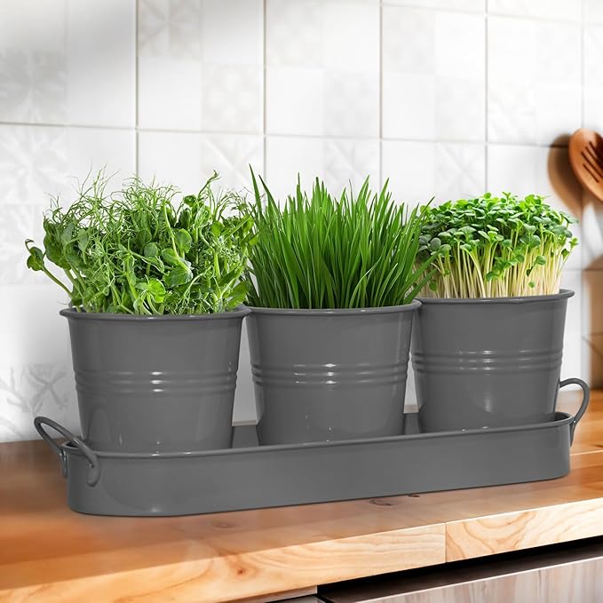 Plexon Herb Planter Indoor Garden Set of 3 with Tray, Metal Herb Pots for Indoor Plants, Round Kitchen Garden Kit Ideal for Windowsill Planter or Countertop, Gray Powder Coated