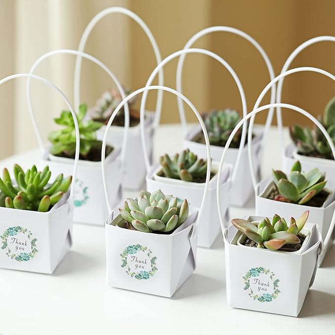 NITHECON 40pcs Thank You Succulents Wraps [NOT Include Plants and Pots]-[Fits 2 Inch Pots] Succulent Gift Wraps bags Decoration Sleeve Succulent for Wedding Baby Shower Favors Ideas,White