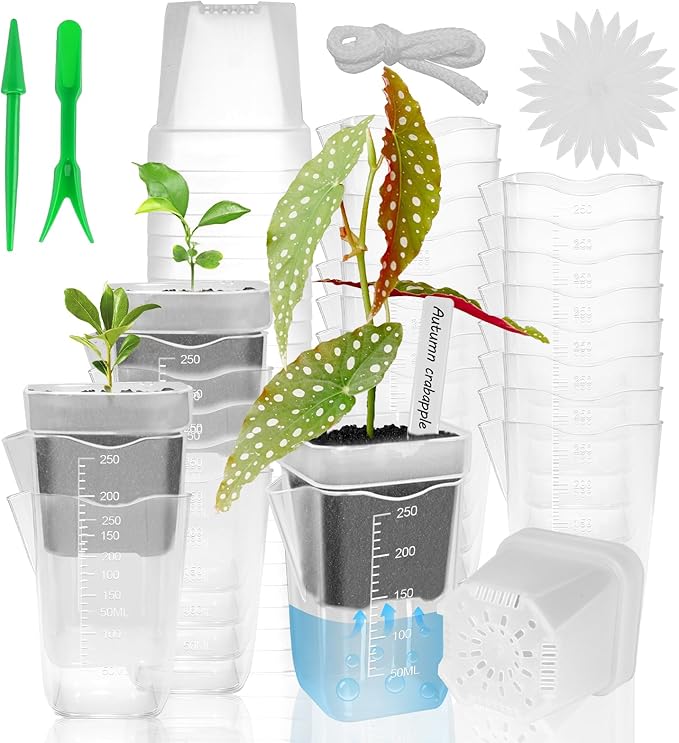 24 Pack 2.5" Small Self Watering Pots for Indoor Plants, Clear Plant Pots with Drainage & Water Level, Semi Hydroponic Pots for Propagation, African Violet, Cutting and Succulents