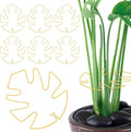 6Pcs Gold Iron Monstera Plant Support Stakes - Indoor Plant Holders for Stem Support and Thriving Growth