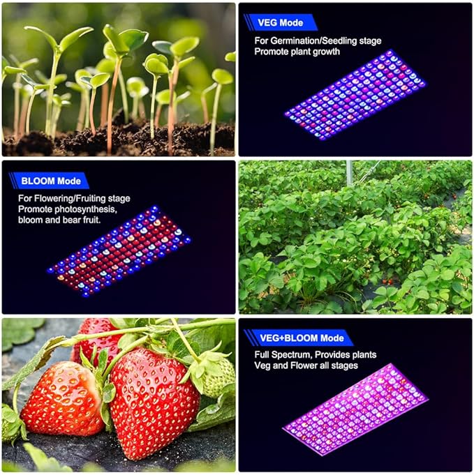 Upgraded BW2000 LED Grow Lights Double Chips Full Spectrum with 10ft Cable for Greenhouse and Indoor Plant Veg and Flower Growing [White]