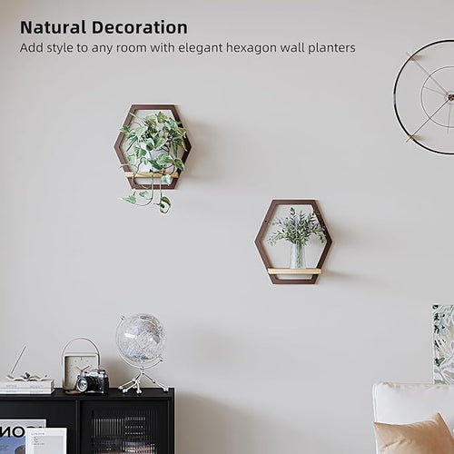 2 Pack Solid Wood & Heavy Duty Metal Wall Plant Stands,9 inch Natural Wood Shelf, Boho Arch Hanging Planter for Indoor 25 LB Load for Plants Coffee