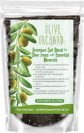 GARDENWISE Organic Olive Tree Potting Mix – Fast-Draining, Nutrient-Rich Soil for Indoor & Outdoor Olive Trees – Mediterranean Plant Care – Long-Lasting Formula (4 QUARTS)