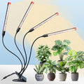 FECiDA Gamechanger 2026 36 Watt Power Draw, NO Need Adapter, 4Head Strong Clip Grow Lights for Indoor Plants with 4/8/12/16/20H Timer, LED Plant Growing Lamps for Houseplants, Bonsai, Seed Starting